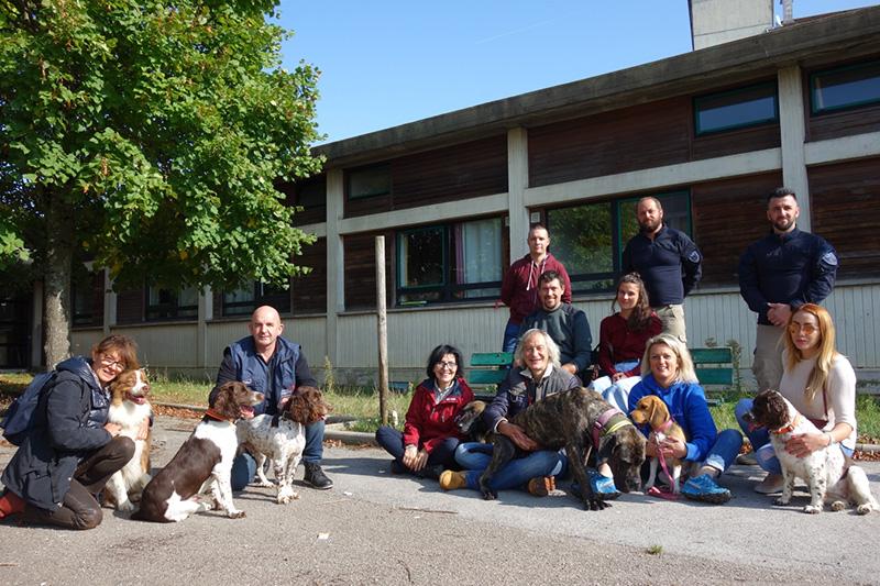 3D et désinfection. La détection canine des punaises de lits certifiée