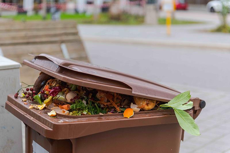 500 bacs à bio-déchets pour  Paris