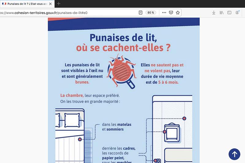 Hygiène et 3D. Le Gouvernement lance son plan « punaises de lit »